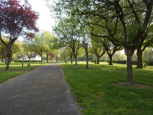 photo du chemin