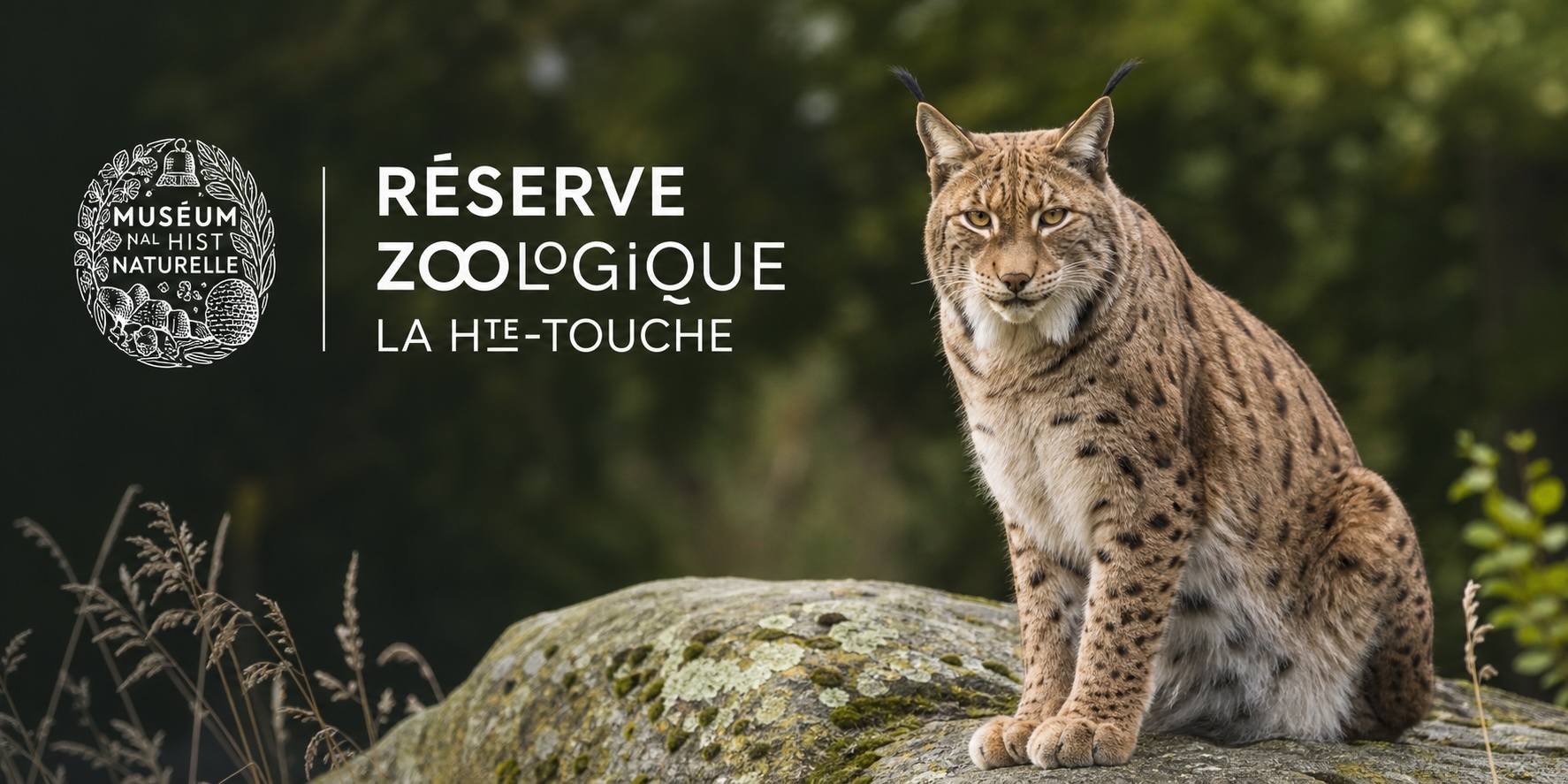 Zoo de la Haute Touche
